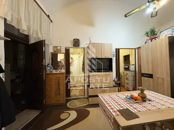 Apartament 1 camera Timișoara - poza 4