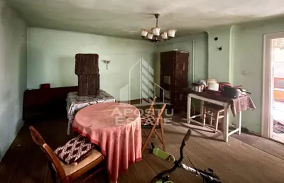 Casa 4 camere, anexe, teren generos zona Aradul Nou Cl. Timisorii - foto 19