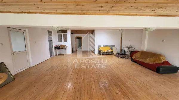 Casă 8 camere Timișoara - poza 15