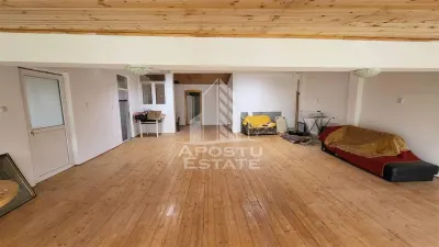 Casă 8 camere Timișoara - poza 15