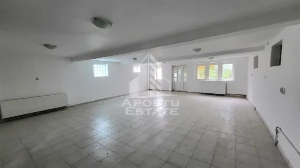 Casă 8 camere Timișoara - poza 3