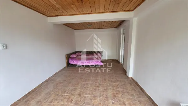 Casă 8 camere Timișoara - poza 25