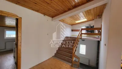 Casă 8 camere Timișoara - poza 10