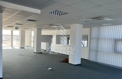 Birou Timișoara - poza 2