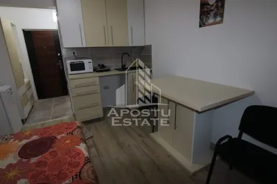 Garsoniera de vanzare in bloc de apartamente, zona Lipovei Timisoara - foto 4