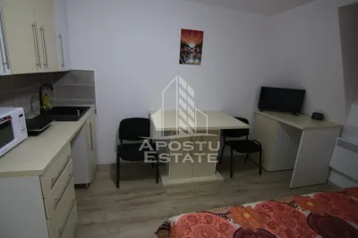 Garsoniera de vanzare in bloc de apartamente, zona Lipovei Timisoara - foto 7