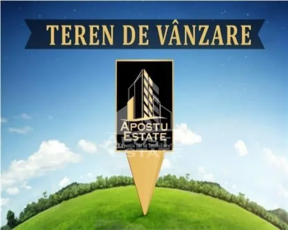 Teren Minis - poza 1