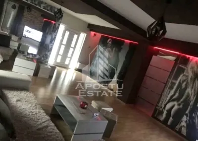 Casa individuala cu 7 camere si hala service,teren 600 mp,Dambovita - Timisoara