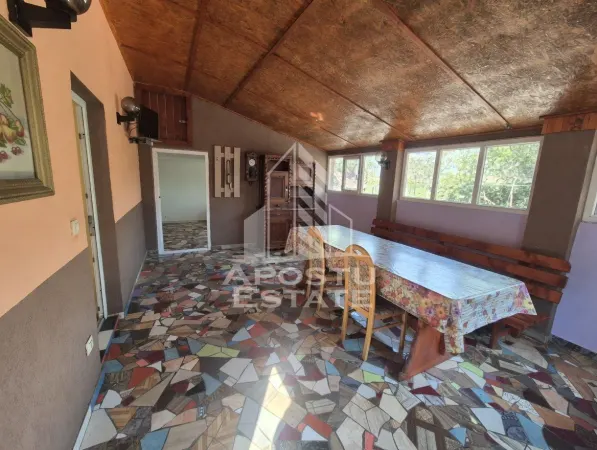 Casă 5 camere Sânnicolau Mare - poza 4