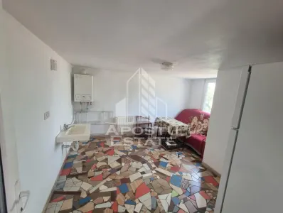 Casa spatioasa, 280 mp utili, Sannicolau Mare - foto 5