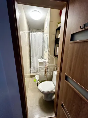 Apartament 4 camere Timișoara - poza 12