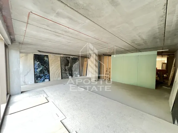Spațiu comercial Timișoara - poza 2