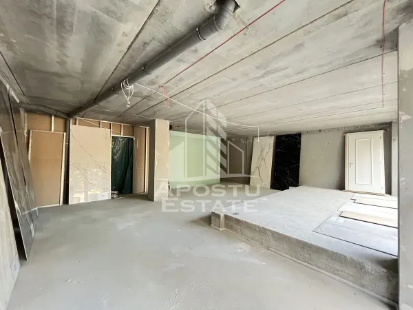 Spațiu comercial Timișoara - poza 3