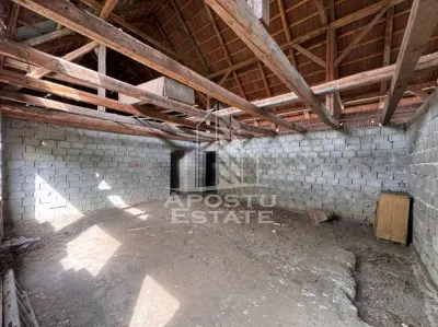 Casa batraneasca + Constructie la rosu, in sat Pesac, judetul Timis - foto 13