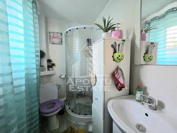 Casă 4 camere Timișoara - poza 16