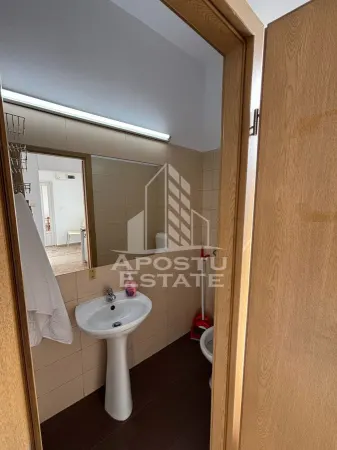 Casă 2 camere Timișoara - poza 7