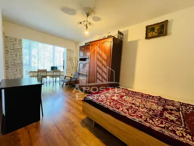Apartament 1 camera/Podgoria/Vedere Panoramica la Bazinul de Inot - Arad