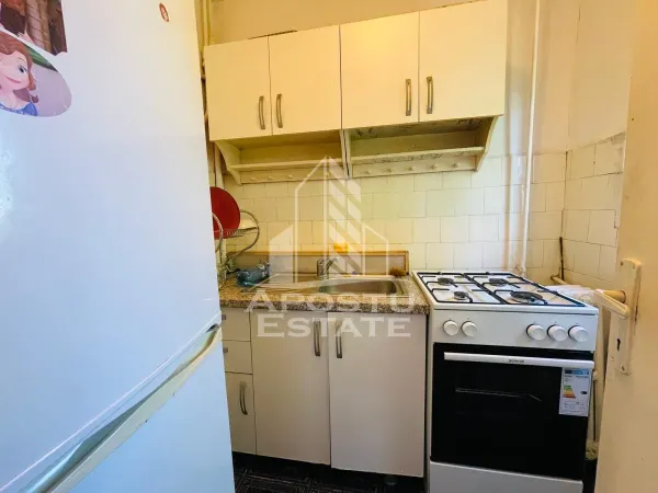 Apartament 1 camera Arad - poza 4