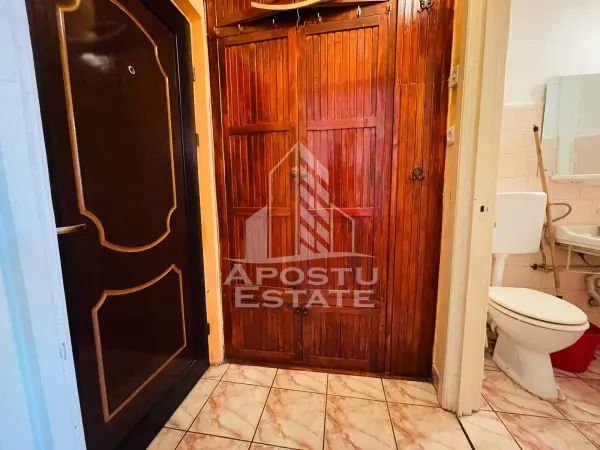 Apartament 1 camera Arad - poza 5