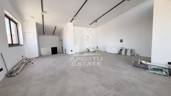 Apartament 3 camere Timișoara - poza 5