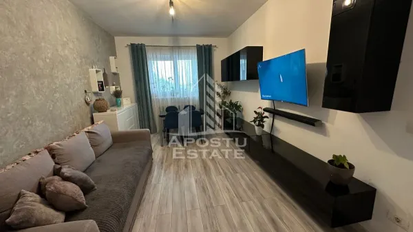 Apartament 2 camere Timișoara - poza 1