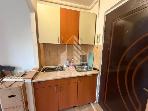 Apartament 1 camera Timișoara - poza 4