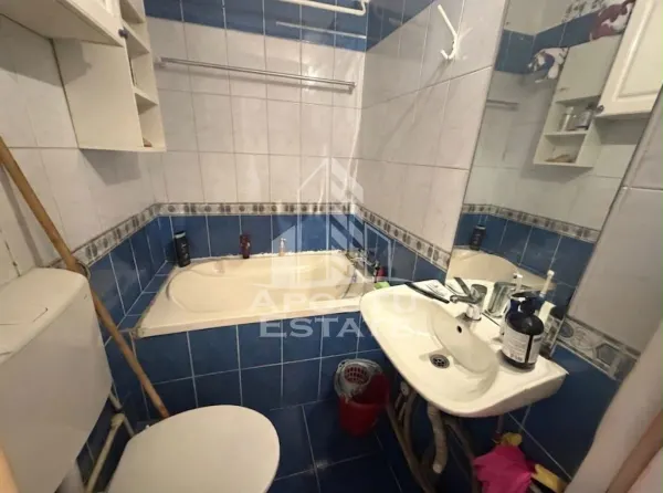 Apartament 1 camera Timișoara - poza 5