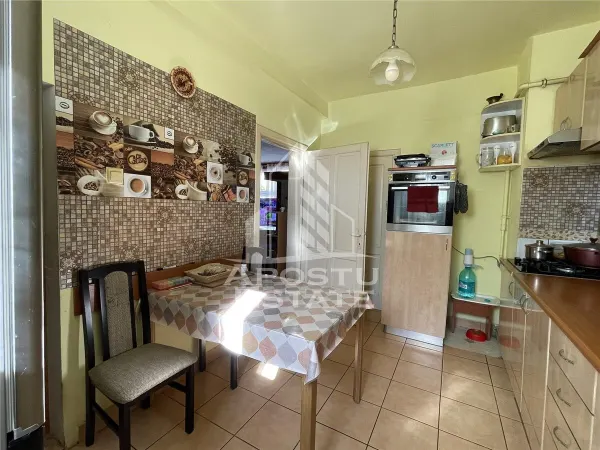 Casă 7 camere Timișoara - poza 1