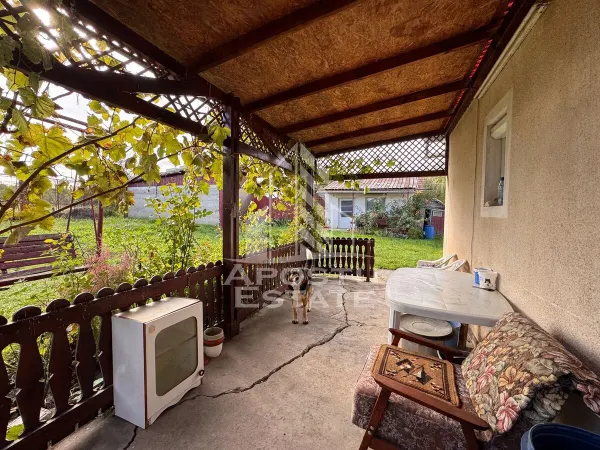 Casă 4 camere Barcea Mare - poza 17