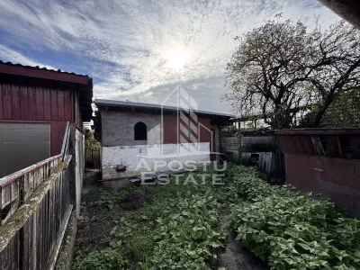 Casa individuala, 4 camere, 2600mp teren, Barcea Mare in Hunedoara - foto 19