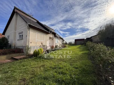 Casa individuala, 4 camere, 2600mp teren, Barcea Mare in Hunedoara - foto 3