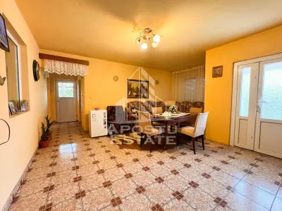 Casa individuala, 4 camere, 2600mp teren, Barcea Mare in Hunedoara - foto 9
