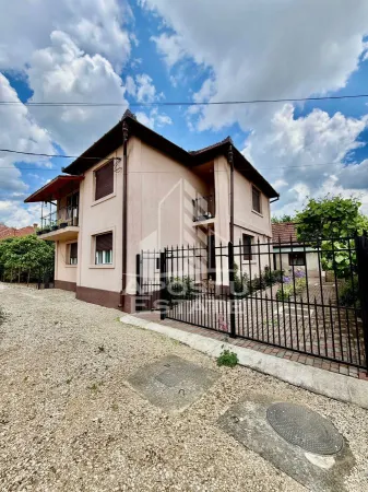 Casă 7 camere Faget - poza 1