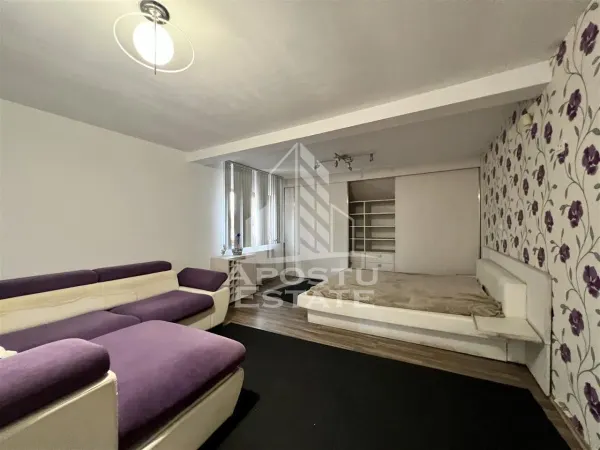 Casă 9 camere Timișoara - poza 1