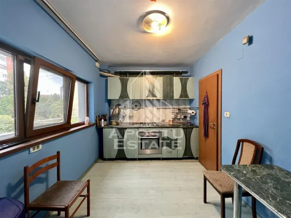 Casă 9 camere Timișoara - poza 11