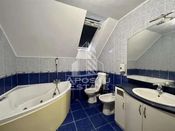 Casă 9 camere Timișoara - poza 12