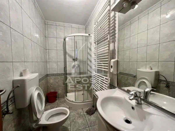 Casă 9 camere Timișoara - poza 13