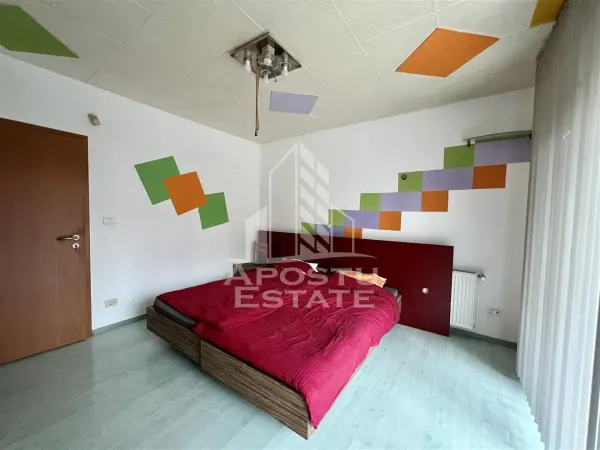 Casă 9 camere Timișoara - poza 3