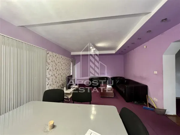 Casă 9 camere Timișoara - poza 7