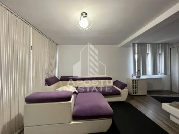 Casă 9 camere Timișoara - poza 9