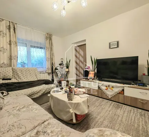 Apartament 2 camere Șag - poza 3
