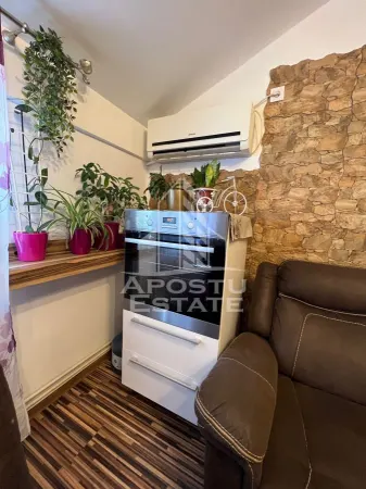 Apartament 3 camere Timișoara - poza 4