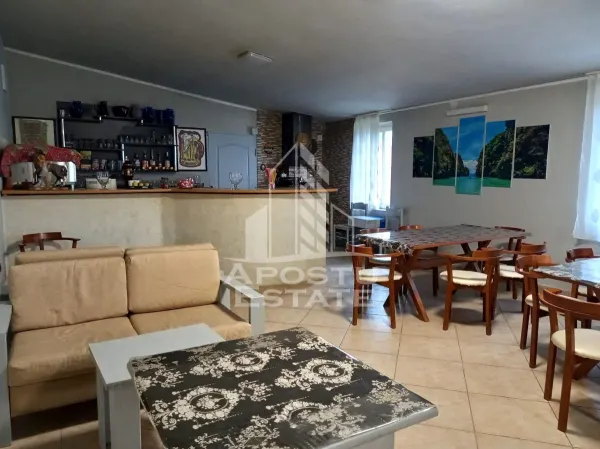 Casă 20 camere Curtici - poza 3