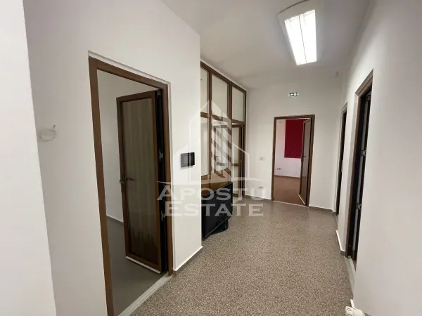 Birou Moșnița Nouă - poza 5