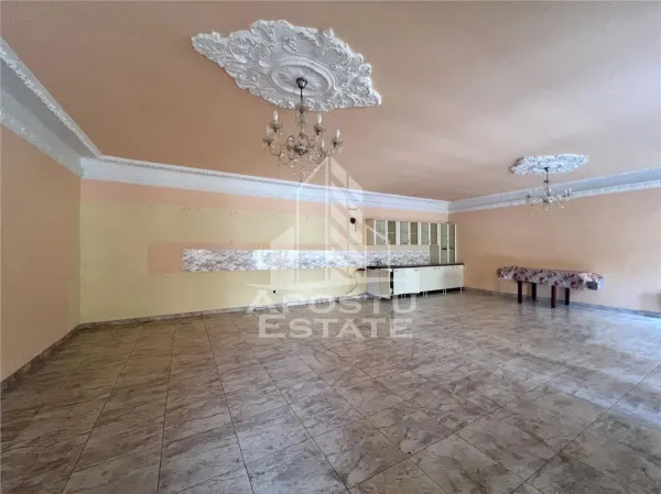 Casă 12 camere Timișoara - poza 18