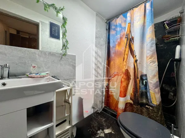 Casă 3 camere Timișoara - poza 12