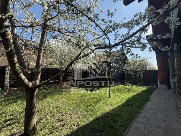 Casă 6 camere Timișoara - poza 15
