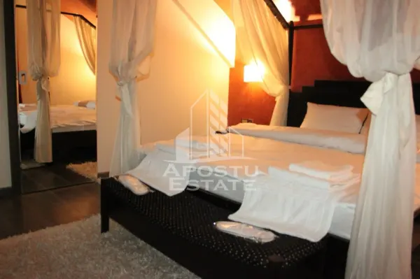 Casă 7 camere Timișoara - poza 15