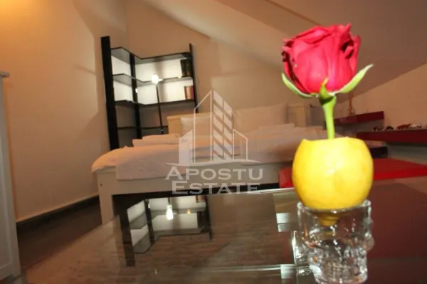 Casă 7 camere Timișoara - poza 19