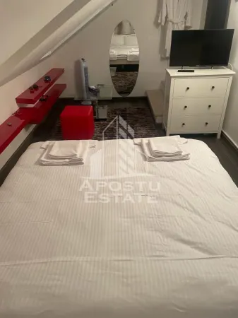 Casă 7 camere Timișoara - poza 20